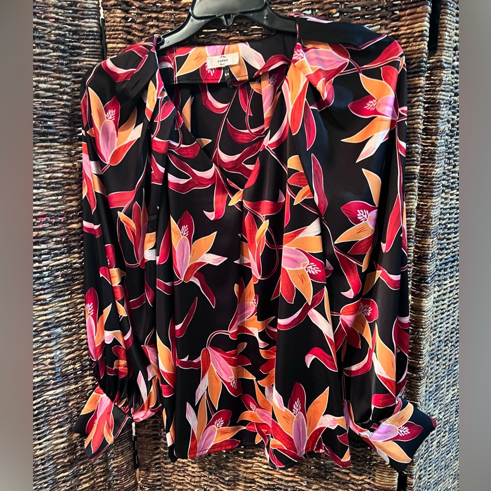 Entro blouse with balloon sleeves